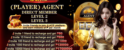 VIP Agent Partnership Rebate promotion
